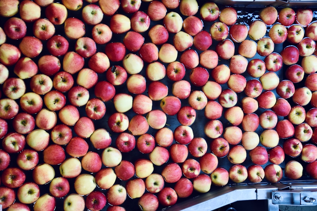 Commercial fresh produce sorting and wholesale